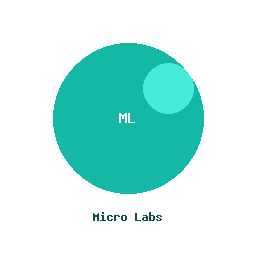 Micro Labs